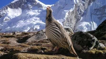 Beyond Trekking a Beautiful Landscape of Nepal